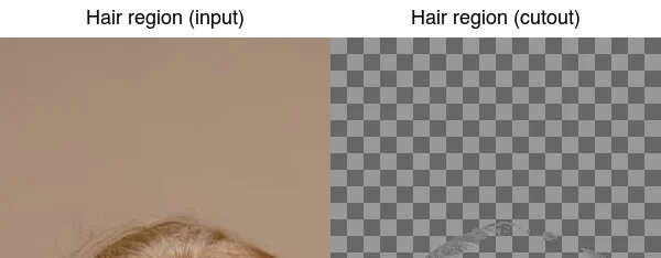 Zoomed hair region: the input portrait's hair versus the cutout's hair edge, where semi-transparent strands are the hard case