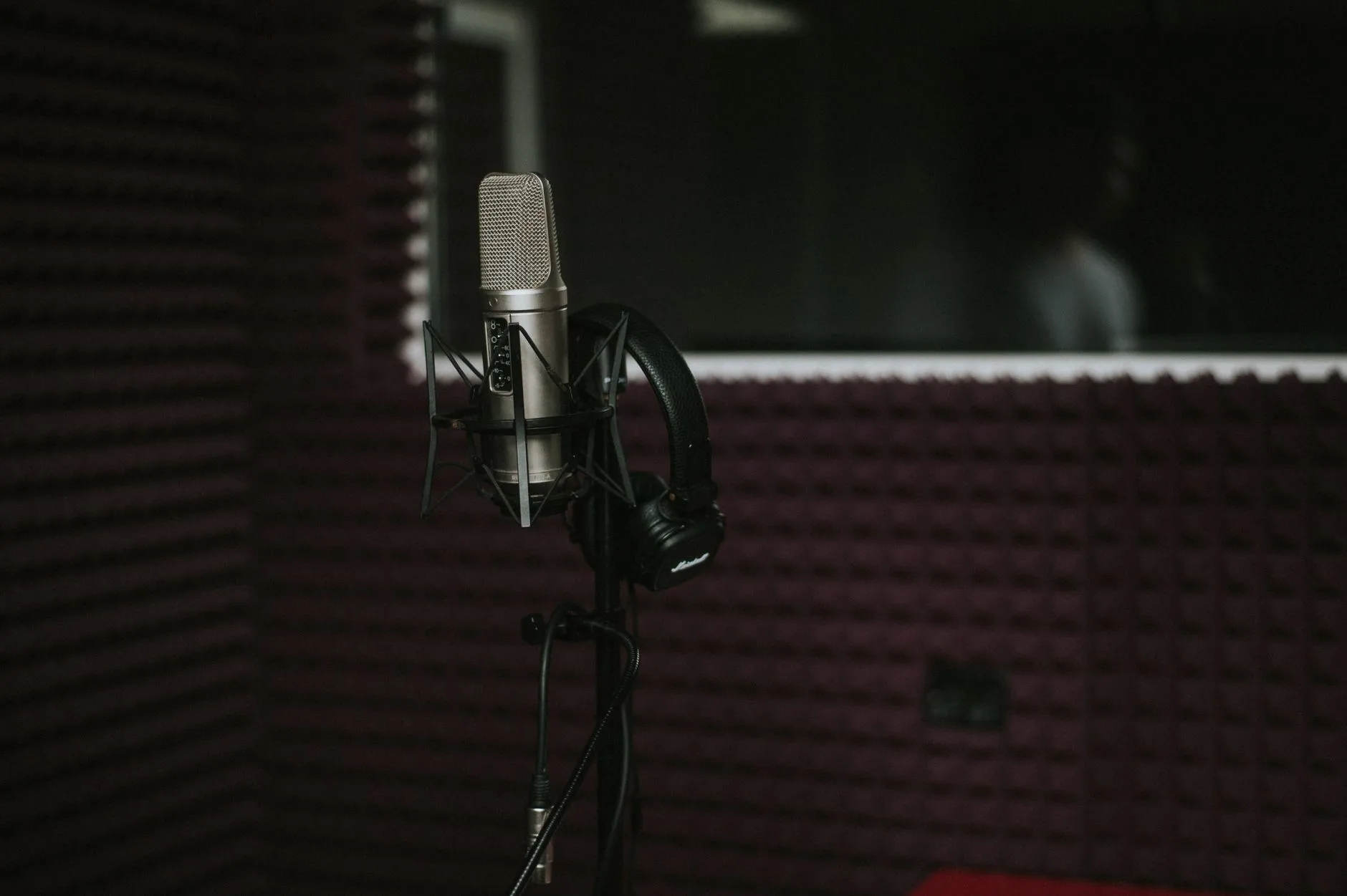 Studio condenser microphone with a pop filter set up in a vocal booth for dubbing