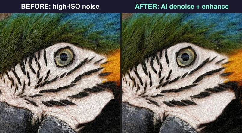 Before and after: the same photo with heavy high-ISO noise (left) versus after AI denoise and enhancement (right, clean detail restored)