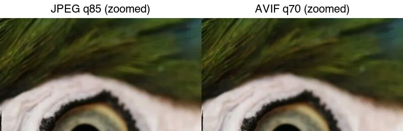Zoomed crop of the feather photo: JPEG q85 shows blocking and ringing, AVIF q70 keeps edges clean at a smaller file size