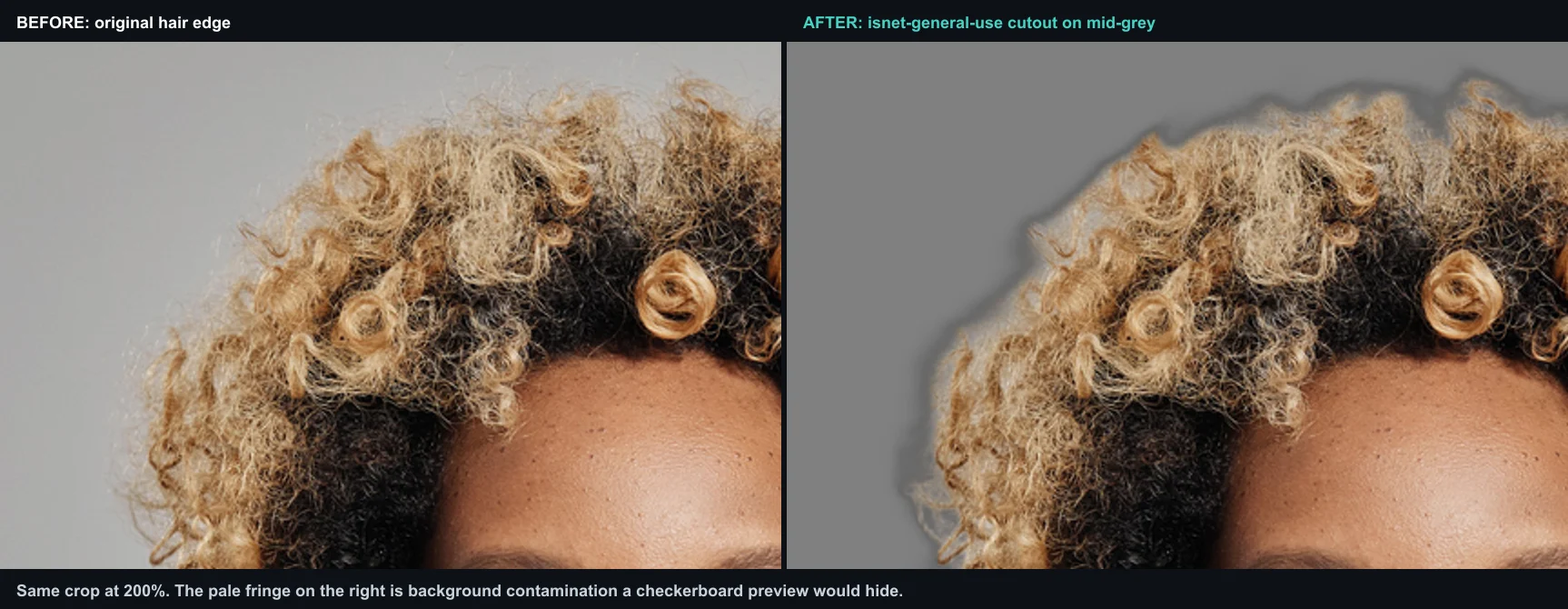 Hair edge at 200%: original beside an isnet-general-use cutout on mid-grey, showing a pale fringe around the curls