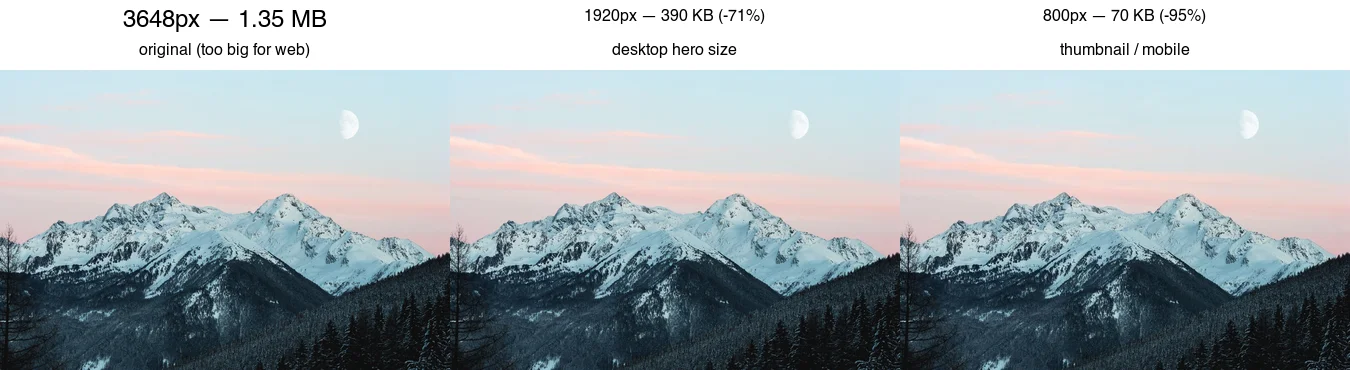 Same photo at 3648px (1.35 MB), 1920px (390 KB, -71%), and 800px (70 KB, -95%), showing how resizing down cuts bytes