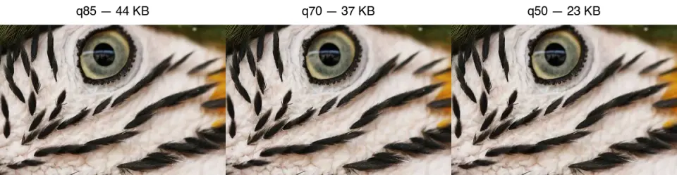 How to Compress JPEG Images Without Visible Quality Loss