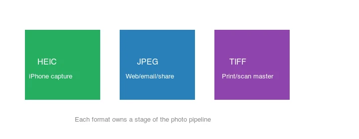 HEIC for iPhone capture, JPEG for web/email/share, TIFF for print/scan master