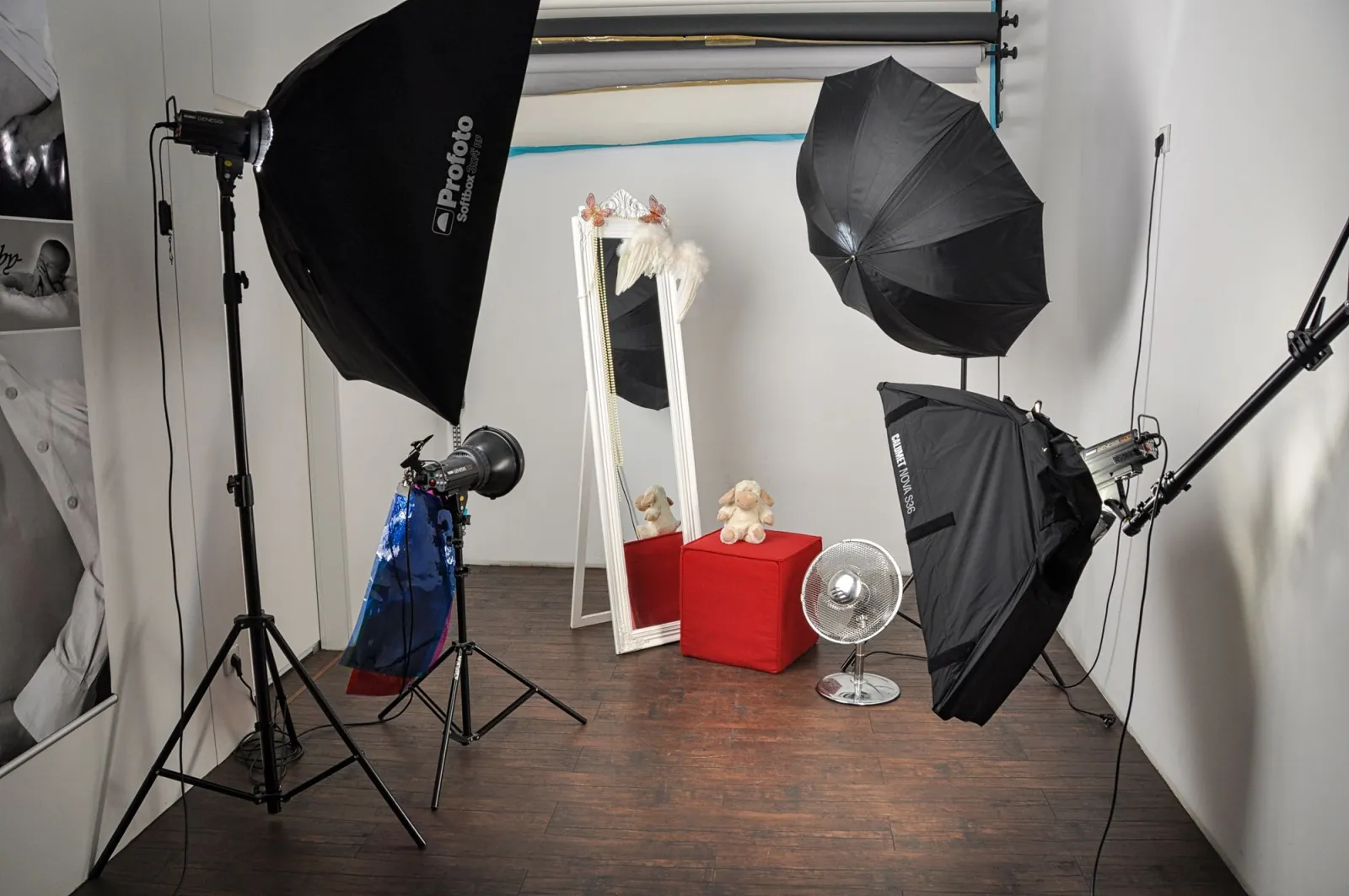 Photography studio with a two-light softbox setup that separates subject and background lighting for cleaner hair edges