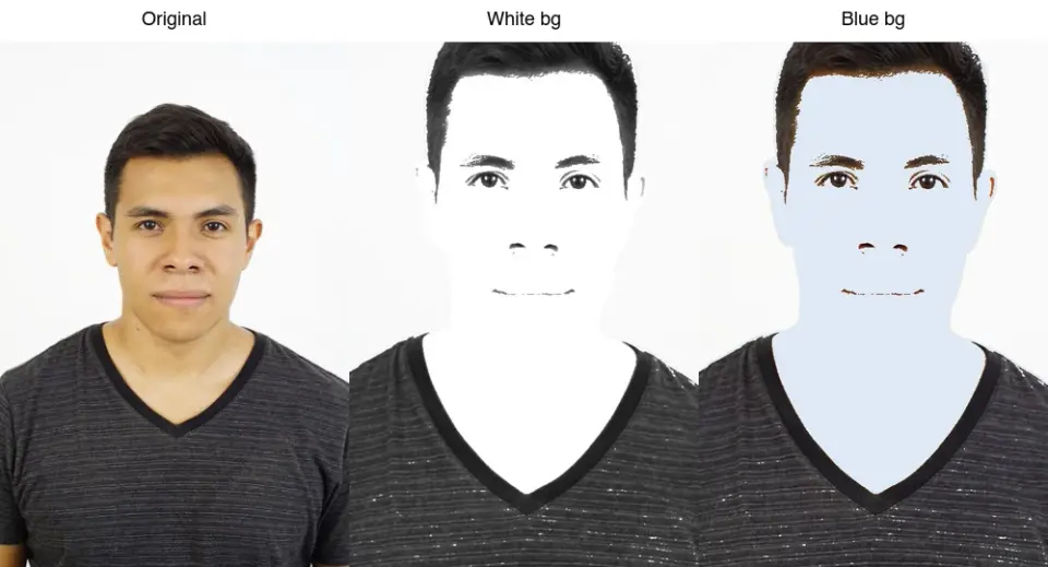 Cover image for How to Change an ID Photo Background: White, Blue, or Gray
