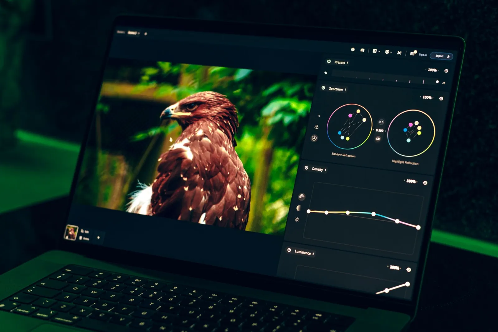 Color correcting a photo on screen, adjusting white balance and saturation to fix a color cast