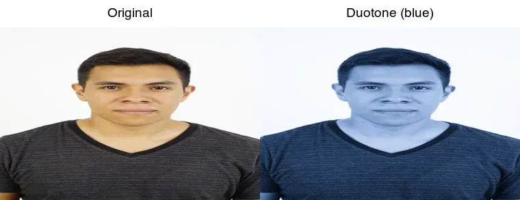 Cover image for How to Create a Duotone Effect on Photos (Design Guide)