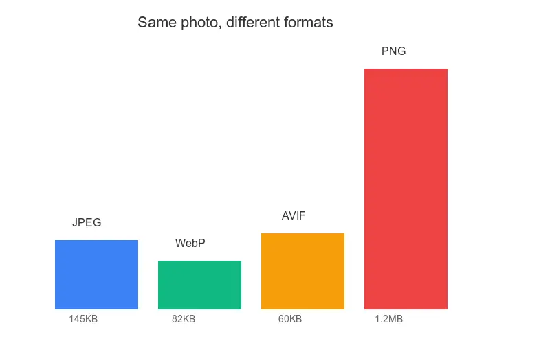 File size comparison across JPEG, PNG, WebP, GIF, and AVIF formats for the same source image