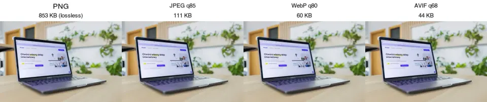 Cover image for Image Formats Explained: JPEG, PNG, WebP, GIF, SVG, AVIF
