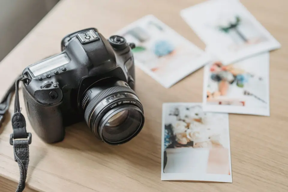 Image Formats Explained: JPEG, PNG, WebP, GIF, SVG, AVIF