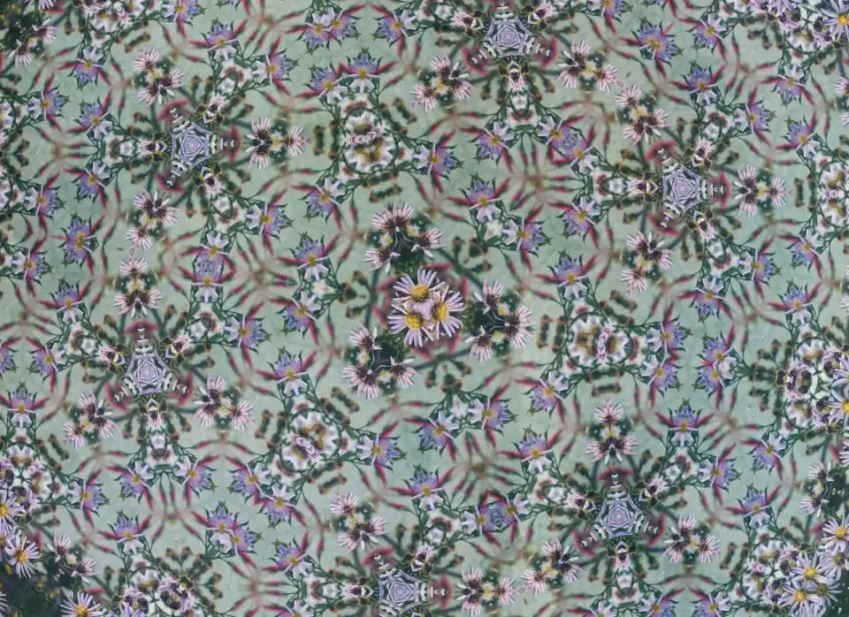 Cover image for Kaleidoscope Photo Effect: Turn Images Into Symmetric Patterns