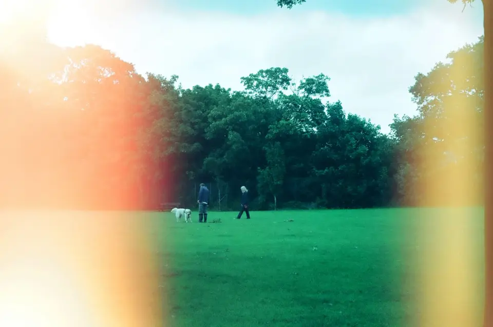 Cover image for Light Leak Effect: Add Analog Film Light Leaks to Photos