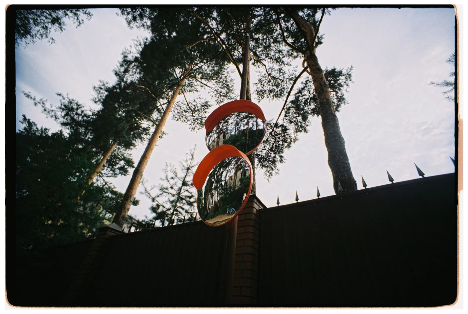Traffic mirrors reflecting pine trees, the layered symmetry mirror effects produce