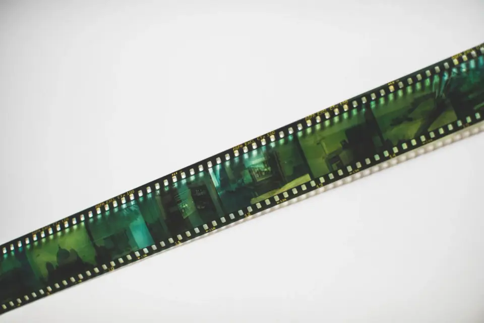 Cover image for Negative Photo Effect: Invert Colors for a Film-Negative Look