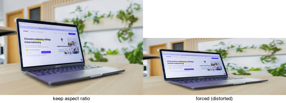 Same photo resized keeping aspect ratio (correct) versus forced to a different ratio (distorted, stretched)
