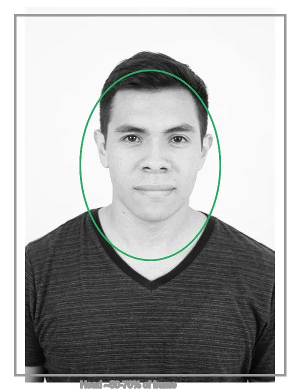Cover image for Passport Photo Maker Online: Take and Format ID Photos at Home