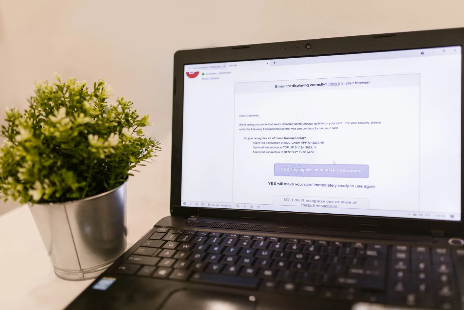 A laptop showing email next to a green plant, a typical email-checking environment