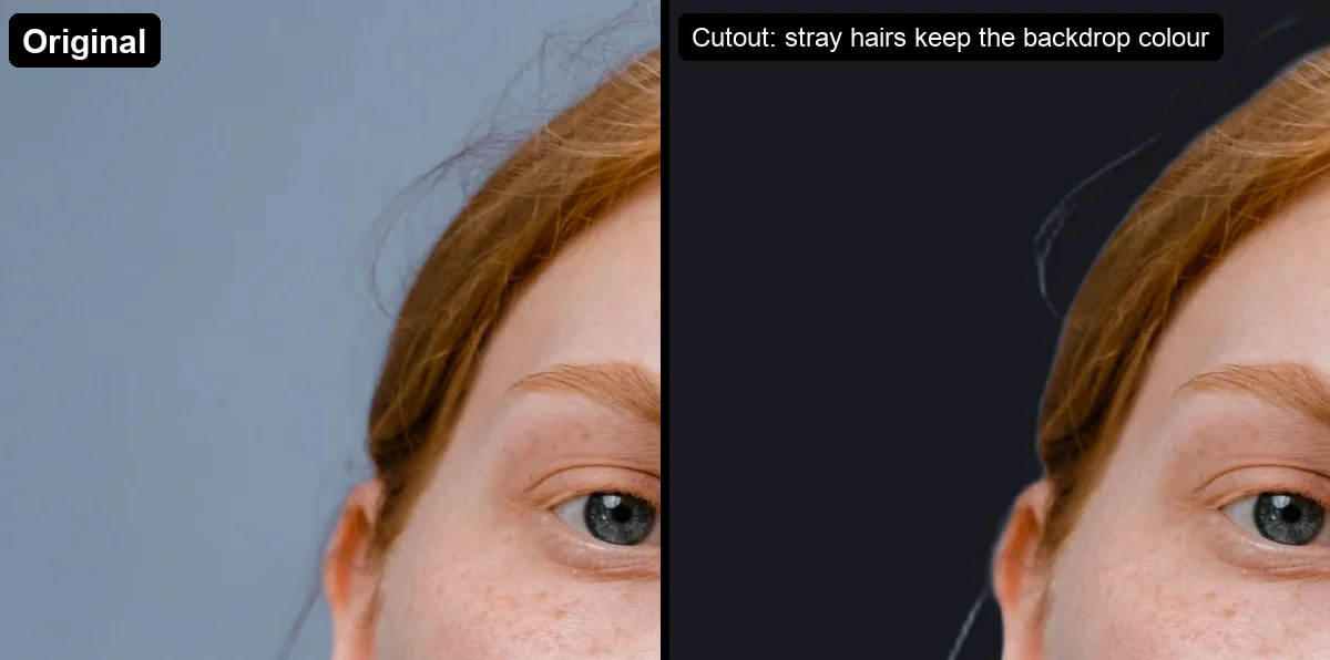 Portrait detail: stray hairs in the cutout keep the blue-gray backdrop colour on a dark background