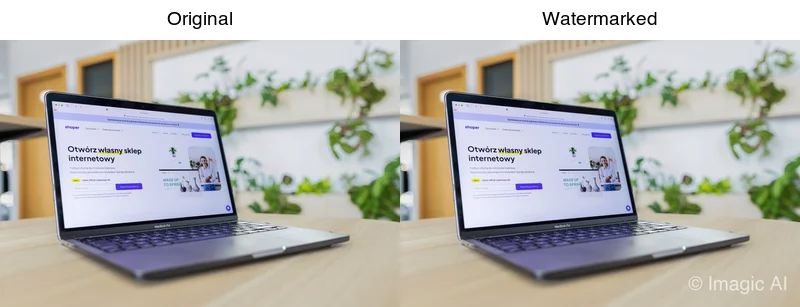 Original photo, the same photo with a watermark, illustrating the add-then-remove cycle