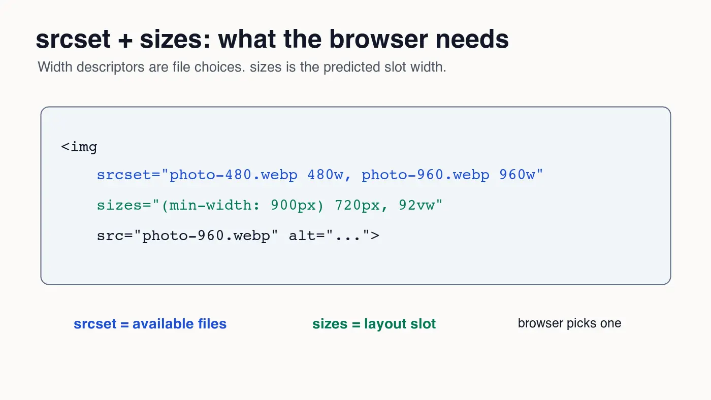 Code-style graphic explaining that srcset lists available files while sizes predicts the rendered layout slot