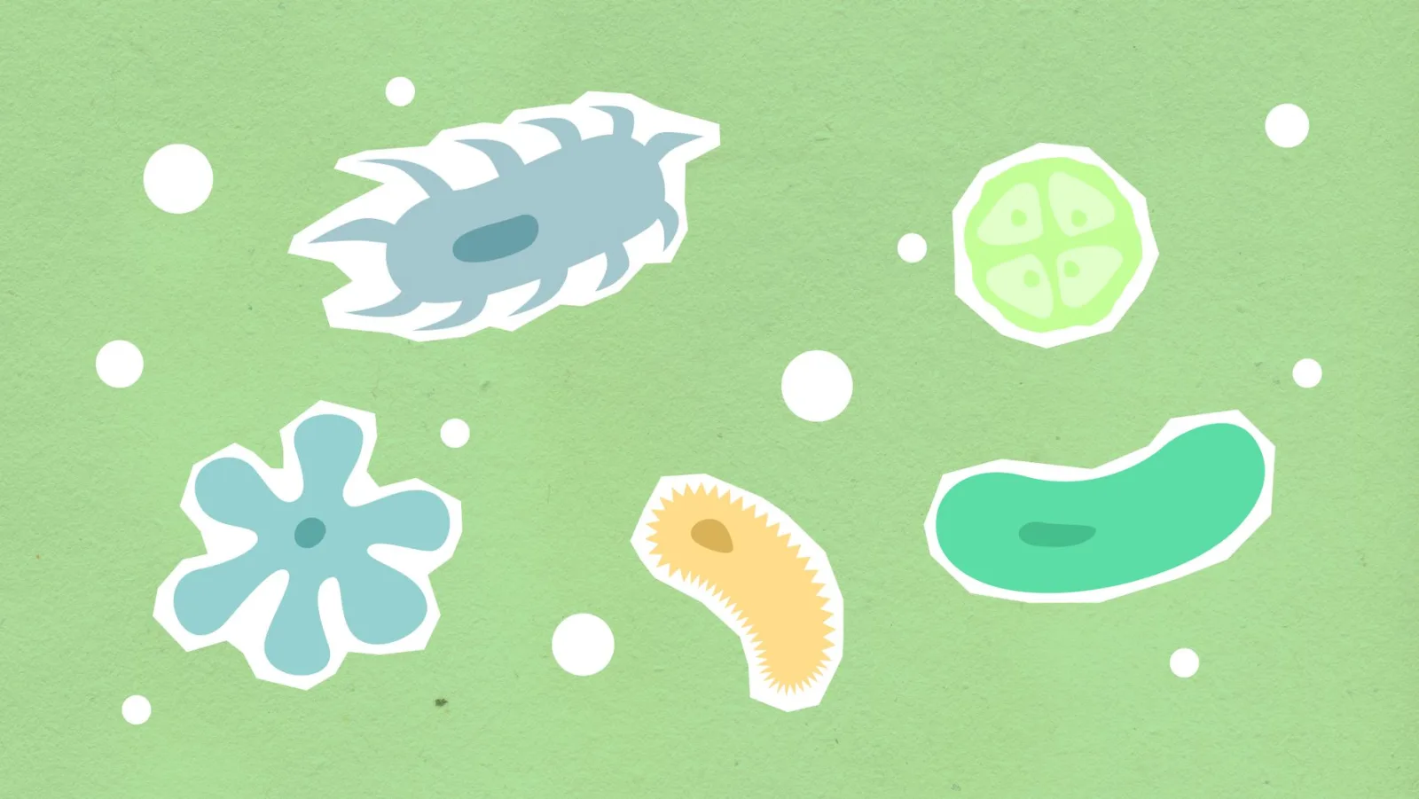 Paper cutouts of different shapes and colors, analogous to vector shapes rasterizing to pixels