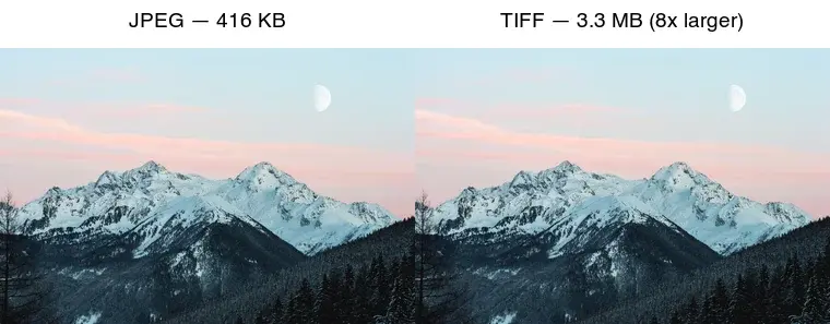 Cover image for TIFF to JPG: Convert Large Scan and Print Files to Web JPG