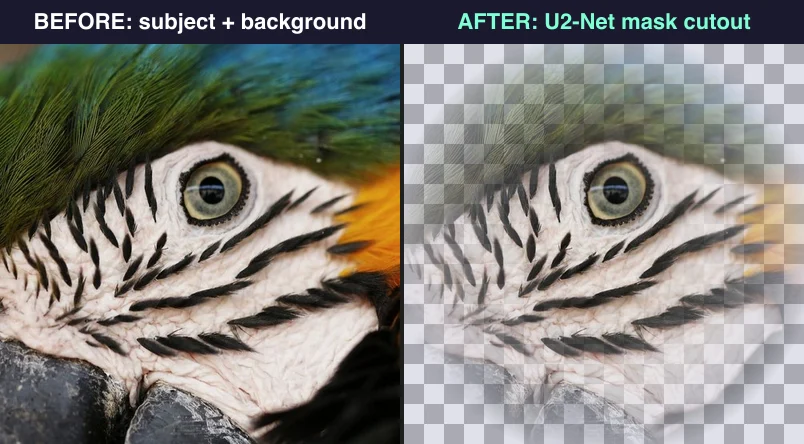Before and after: original photo with background versus subject cut out via a U2-Net saliency mask onto a transparent checkerboard