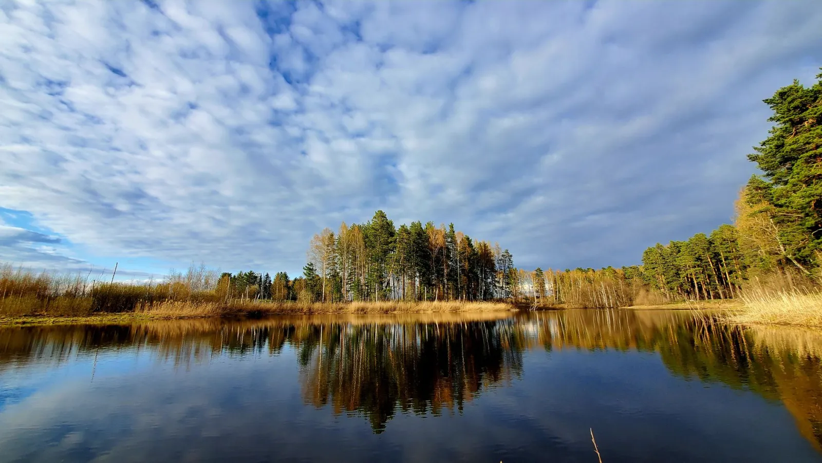 A tranquil lake reflecting trees and clouds, showcasing nature's beauty.