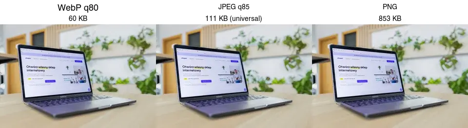 Cover image for WebP to JPG: How to Convert WebP Back to JPEG (and Why)